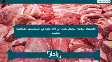 «أسعار اليوم» اللحوم تصل إلى 500 جنيه في السلاسل الغذائية الخميس
